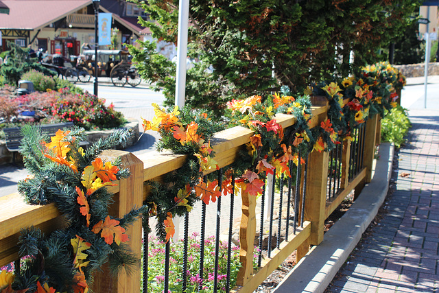 HFF..another angle of the colorful fence in Helen, Georgia... (see the carriage in the background :)