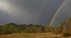 Natures colour display