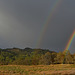 Natures colour display