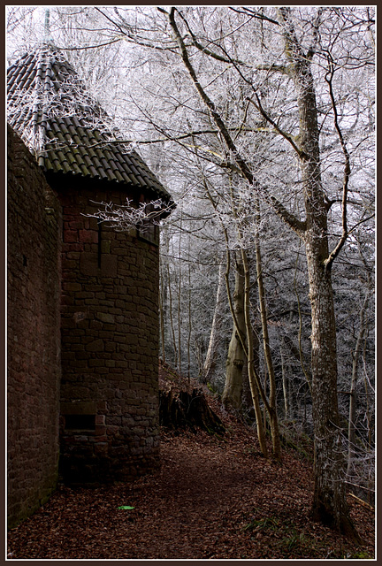 Enceinte du chateau du Haut Koenigsburg