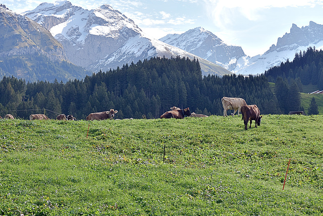 Engelberg / Schweiz