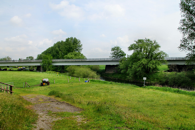 Lippeaue bei Krudenburg (Hünxe) / 11.05.2019