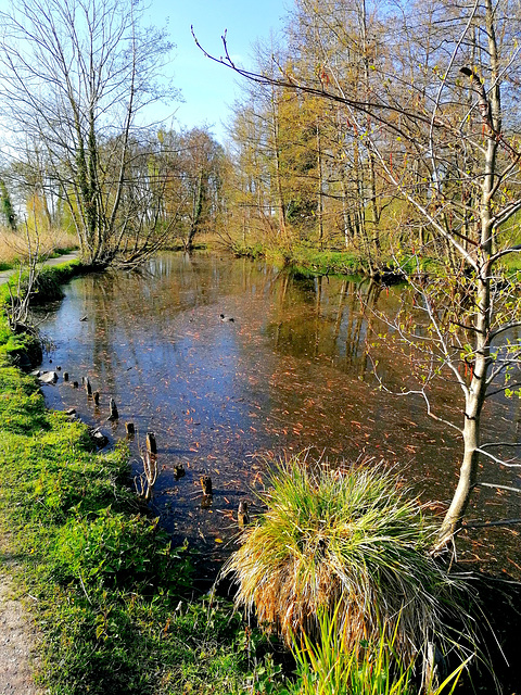 An der Nette bei Leuth