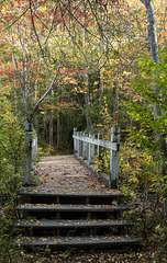 Hinckley Park bridge