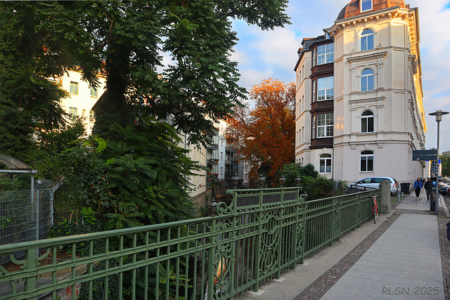 Happy Fence Friday !