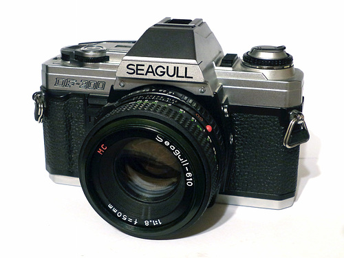 Seagull DF-300