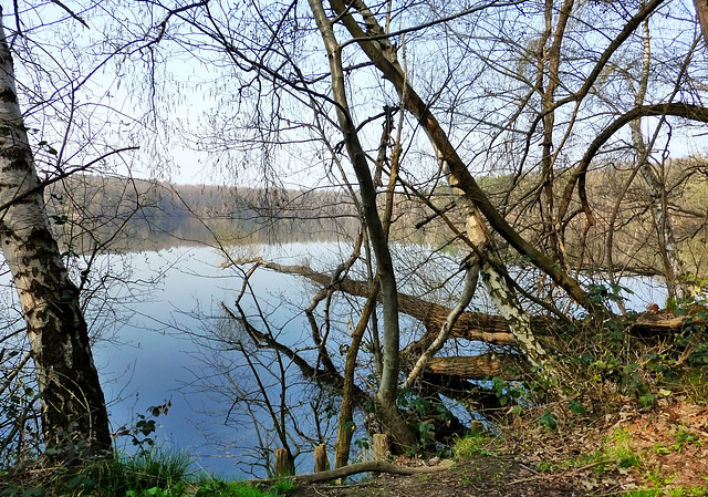 DE - Brühl - Berggeistsee