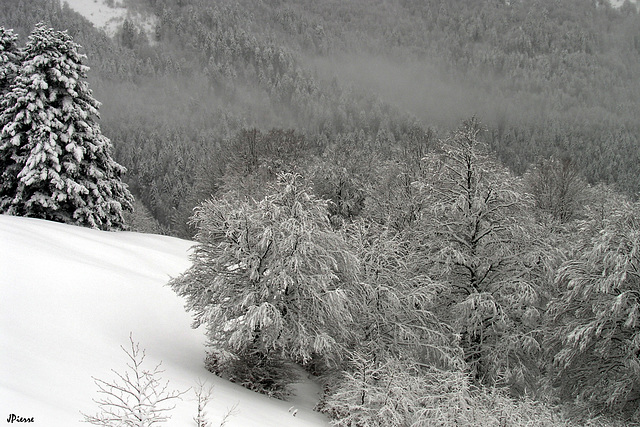 Les Bauges