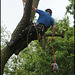 tree surgeon