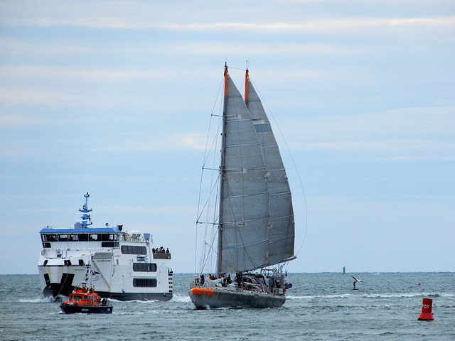 TARA rade de LORIENT ,