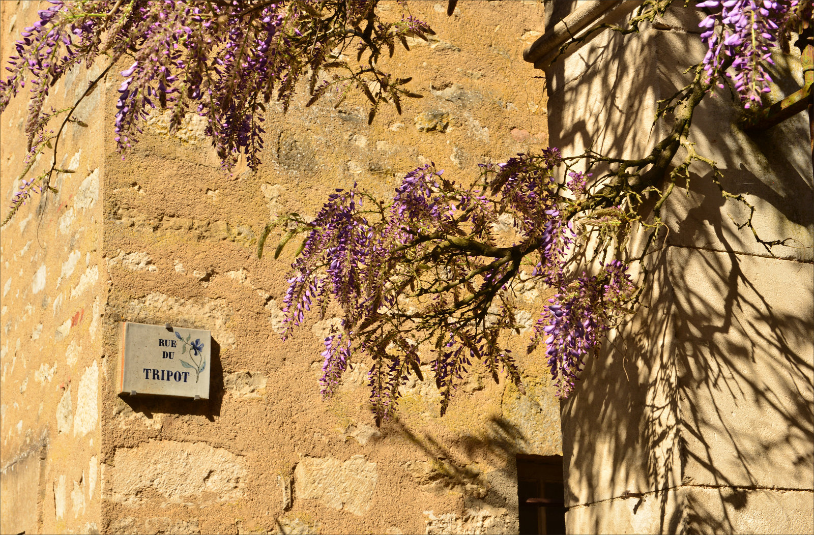 Vezelay