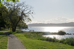 Neuseeland - Taupo