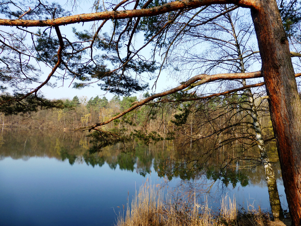 DE - Brühl - Berggeistsee