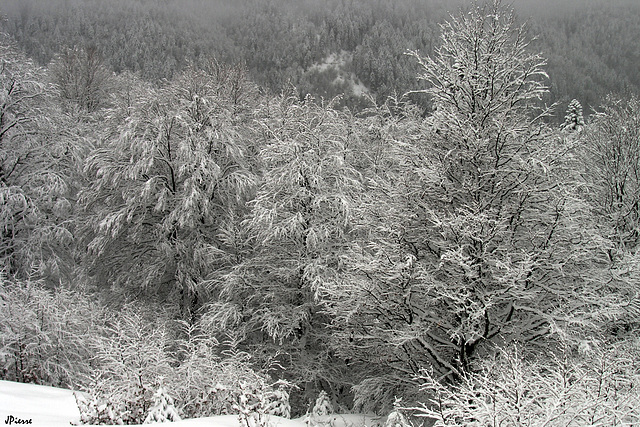 Massif des Bauges (Savoie)