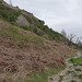 Ullswater Way - East from Aira Force