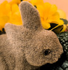 Macro Mondays: Thema "Ostern"