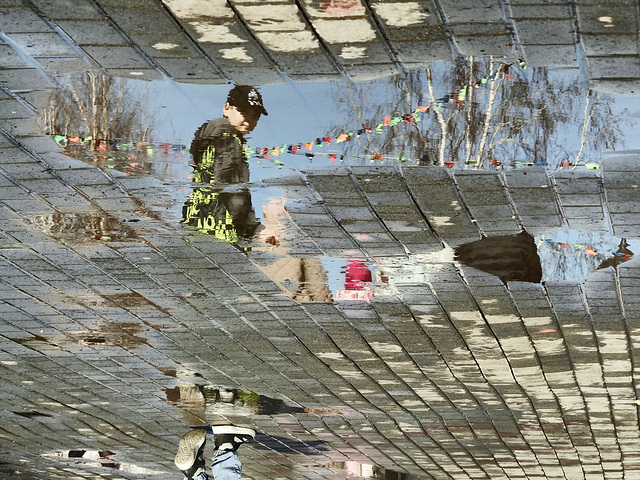 Reflection 5