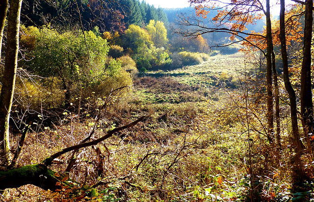 DE - Arft - Hiking the Bergheidenweg