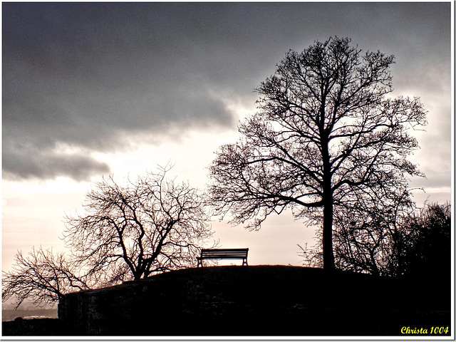 Lonely bench on the hill - HBM