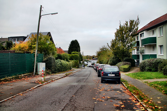 Rathenaustraße (Bochum-Weitmar) / 2.11.2024