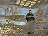 Reflection 6