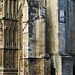 beverley minster, yorks