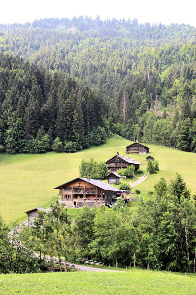 Le Grand Bornand, hameau des Plans (74) 22 juin 2018.