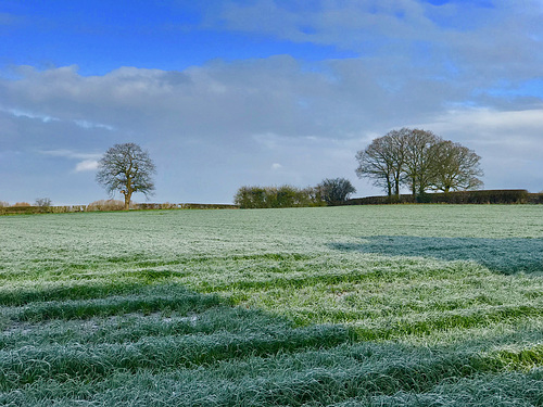 Frosty start to the day