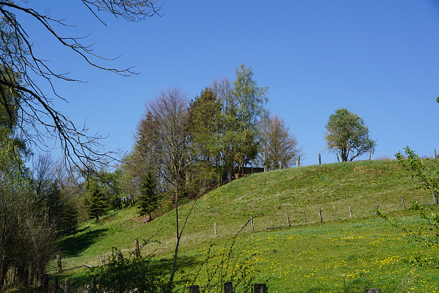 Herrliches Licht im April