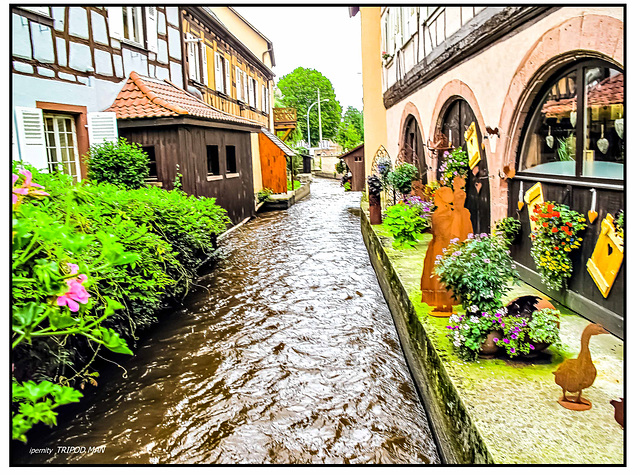 Wissembourg