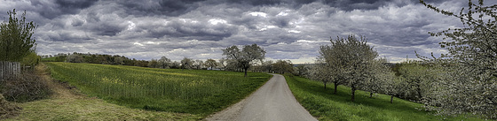 Keltengarten bei Steinbach am Donnersberg