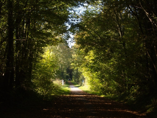 de l'ombre à la lumière