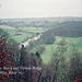 The River Severn and Victoria Bridge from the Wyre Forest (Scan from 1990)