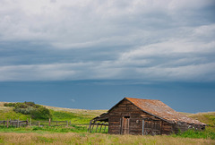 corral and shed