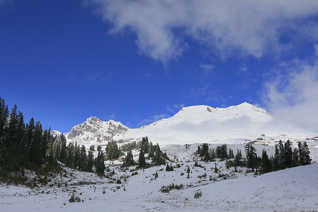 Mount Baker from the Park Butte Trail