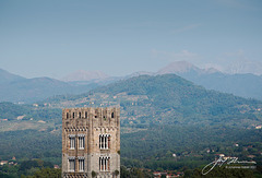 Torre Guinigi - Ausblick vom Turm