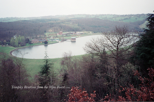 Trimpley Reservoir from the Wyre Forest (Scan from 1990)