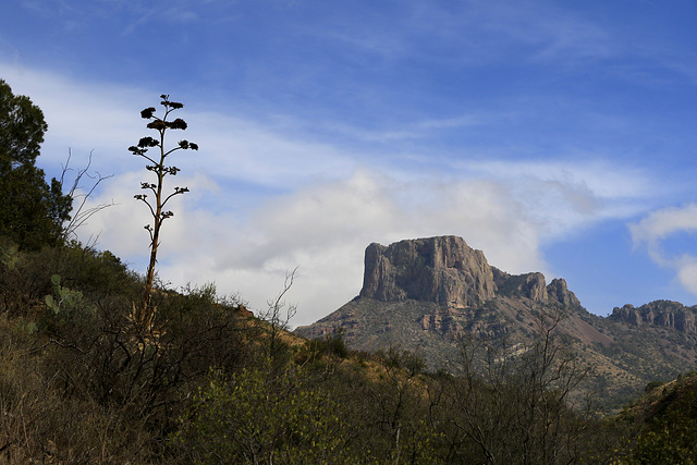 Casa Grande