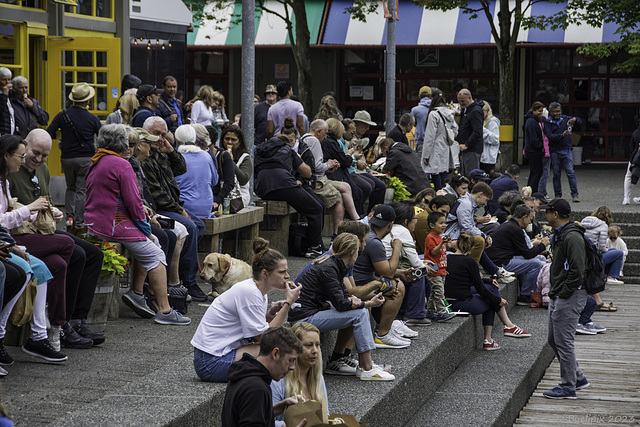 Vancouver - Granville Island (© Buelipix)