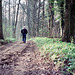 Wyre Forest (Scan from 1990)