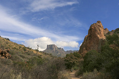 Casa Grande from the Window Trail