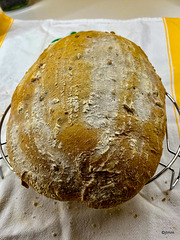 Loaf from a proofing banetton basket