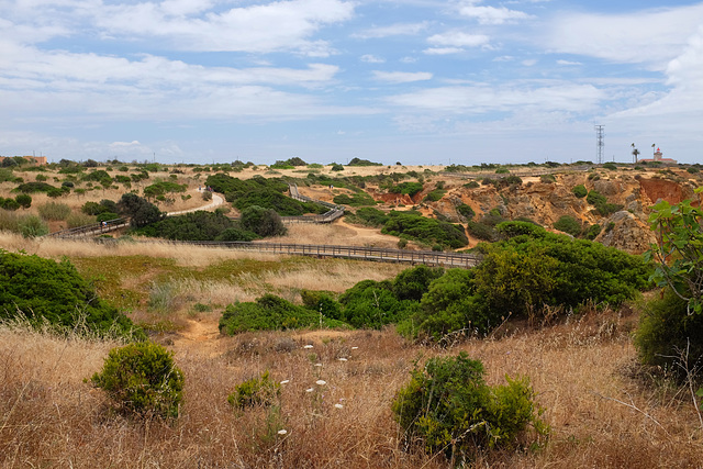 Pontons de Lagos