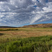 Lovely Landscape and Clouds