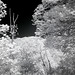 A nanometer too far