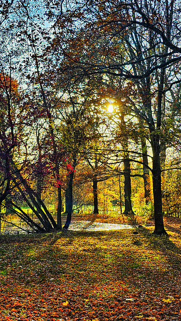 c Schlosspark (5)