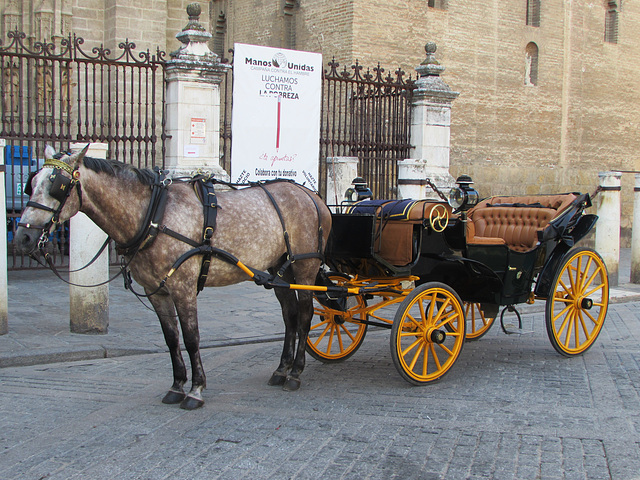 SEVILLE - Mai 2015 (20)