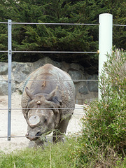 San Francisco Zoo (36) - 19 April 2016