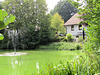 Dorfweiher Meßnerskreith