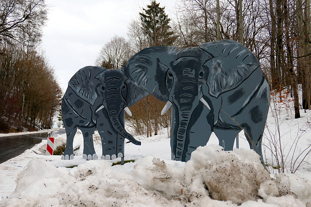 Elefanten an der Straße
